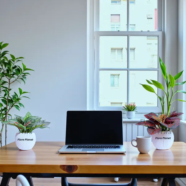 Flora_Planet_Artificial_Decorative_Plant_with_Pot
