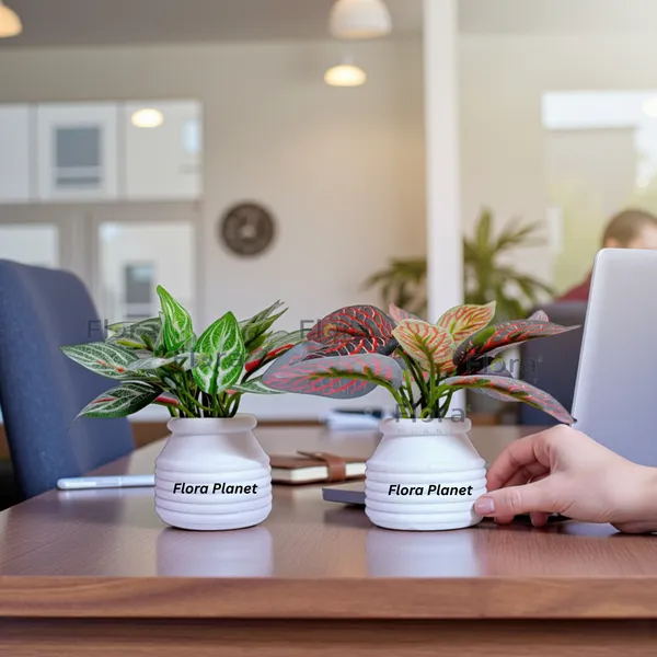 Flora_Planet_Artificial_Decorative_Plant_with_Pot