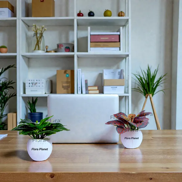 Flora_Planet_Artificial_Decorative_Plant_with_Pot