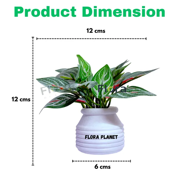 Flora_Planet_Artificial_Decorative_Plant_with_Pot