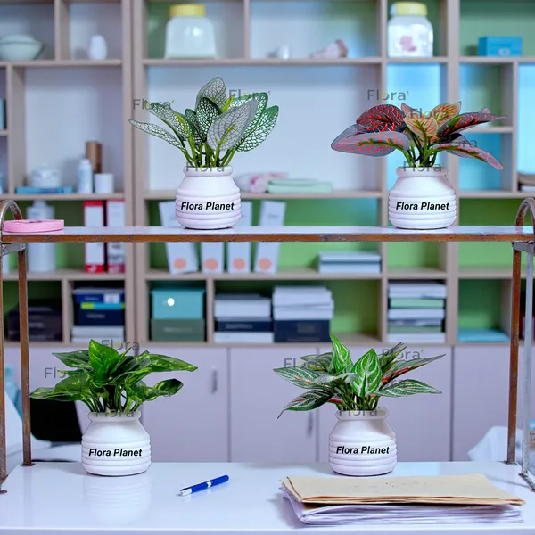 Flora_Planet_Artificial_Decorative_Plant_with_Pot
