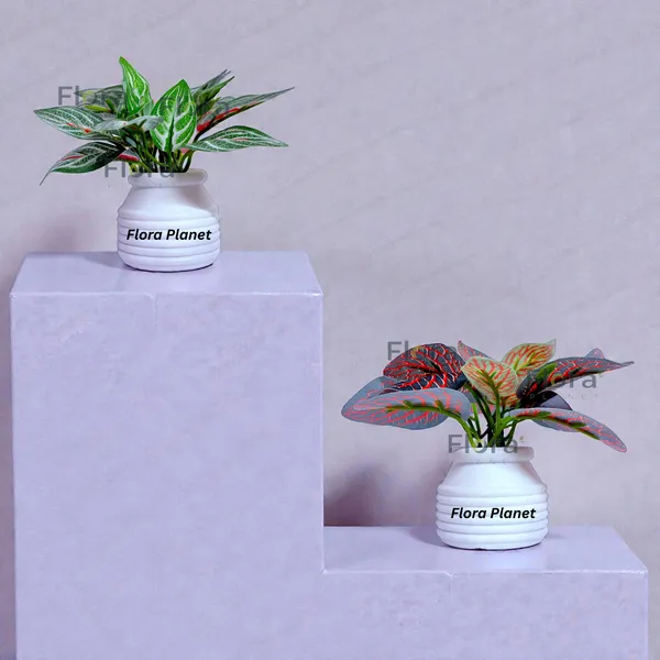 Flora_Planet_Artificial_Decorative_Plant_with_Pot