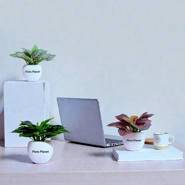Flora_Planet_Artificial_Decorative_Plant_with_Pot