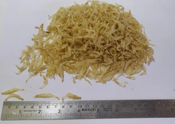Dry_Fish_Seafood__Sundried_Tiny_Baby_Shrimp_(Jawla)_-_500G