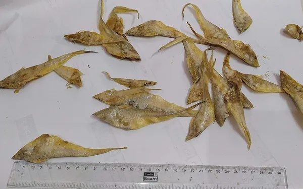 Dry_Anchovy_Fish_250G