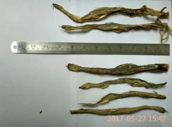 Dry_Fish_Seafood__Combo_Of_Sundried_Tiny_Baby_Shrimp_Jawla_100G_+_Dry_Bombay_Duck_Bombil_100G__(For_Human_Consumption)_Pack_Of_2