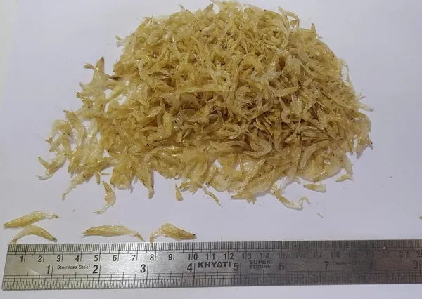 Dry_Fish_Seafood__Combo_Of_Sundried_Tiny_Baby_Shrimp_Jawla_100G_+_Dry_Bombay_Duck_Bombil_100G__(For_Human_Consumption)_Pack_Of_2