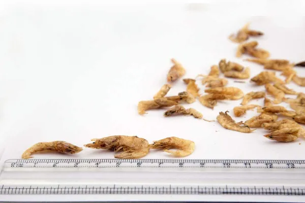 Dry_Fish_Seafood__Combo_Of_Large_Shrimp_Karandi_100G_X_2_Units