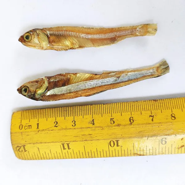 Dried_Anchovy_Fishes_(Netholi/Nithili/Nethili),_Kerala_Dry_Fish_(Export_Quality)_-_100Gm