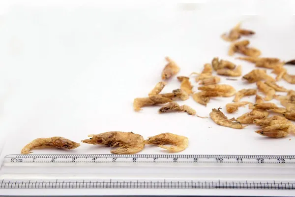 Dry_Fish_Seafood__Sundried_Large_Shrimp_(Karandi)_Whole__100G