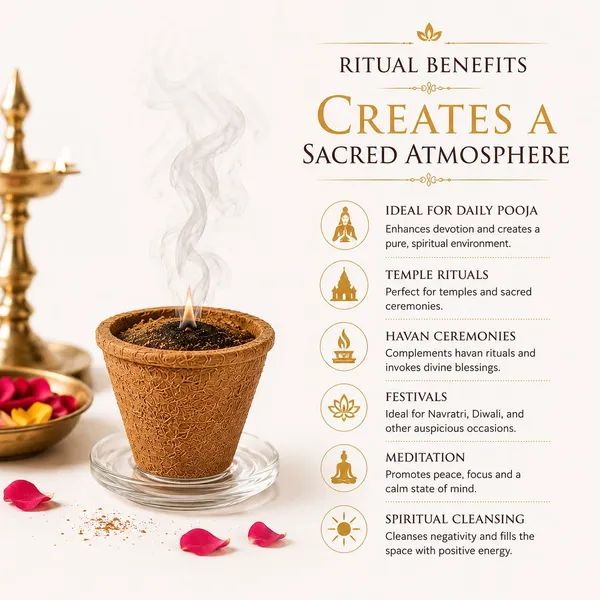 30_DAYS_POSITIVITY_&_PROTECTION_PLAN_I_30_Havan_Cups_with_250g_Shudh_Dhuni_Powder_Combo_|_Pure_&_Natural_Havan_Samagri_|_Daily_Pooja,_Vastu_&_Spiritual_Cleansing_|_Long-Lasting_Fragrance
