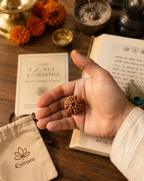 7_Mukhi_Rudraksha_(Nepali)__with_Red_Thread_–_Original_&_Spiritually_Energized_|_Lab_Tested_|_For_Prosperity,_Protection_&_Daily_Wear