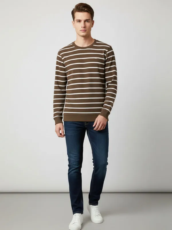 Brown_Cotton_Blend_Pre_Winter_Sweatshirt_For_Men