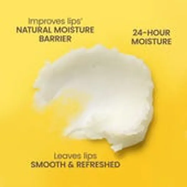 Burt's_Bees_Mango_Lip_Balm_0.15_oz