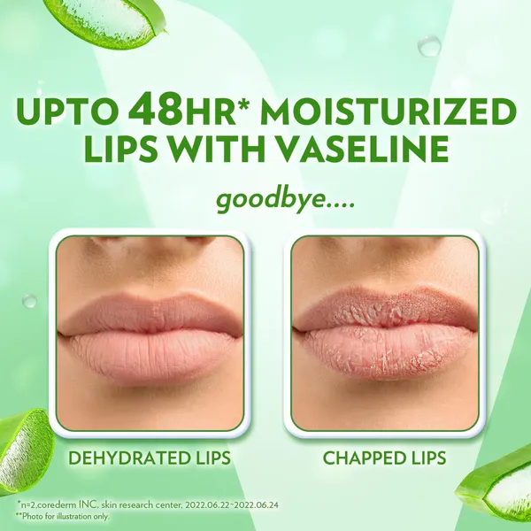 Vaseline_Lip_Care_Aloe_Vera_Lip_Balm_Stick_Natural,_4.8_g