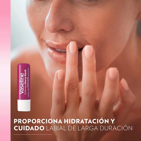 Vaseline_Lip_Therapy_Moisture_Tint_Cherry_Blush,_4.8_g