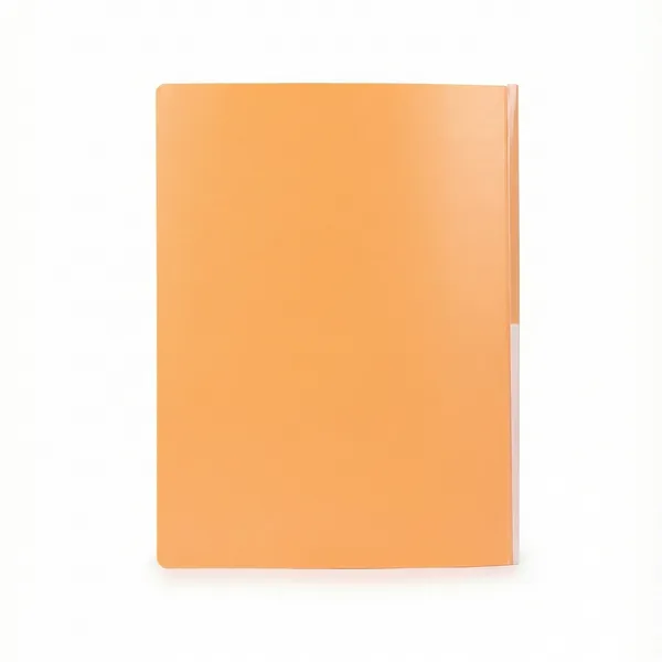 Orange_Eco_Friendly_Pp_Trendy_Disply_Book_Filing_And_Organizing_Documents_Trendy_Display_Book