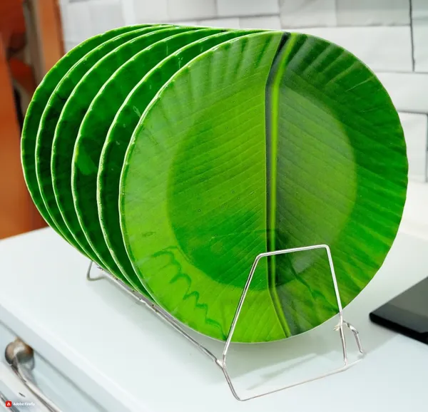 Green_Melamine_Round_Dinner_Plate_Set_Of_6_-_Perfect_Dinner_Plates_Set_For_Snacks_And_More