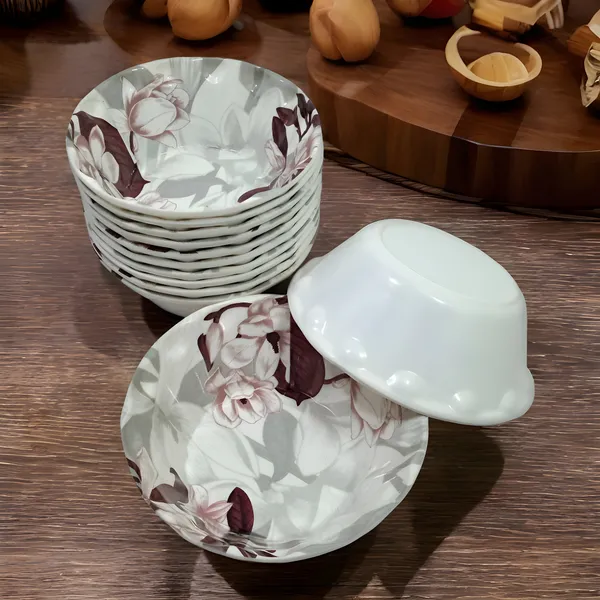 Multicolor_Melamine_Dinner_Bowl_Set_Of_12_-_High-Gloss_Finish,_Easy_To_Clean_&_Long-Lasting_Quality