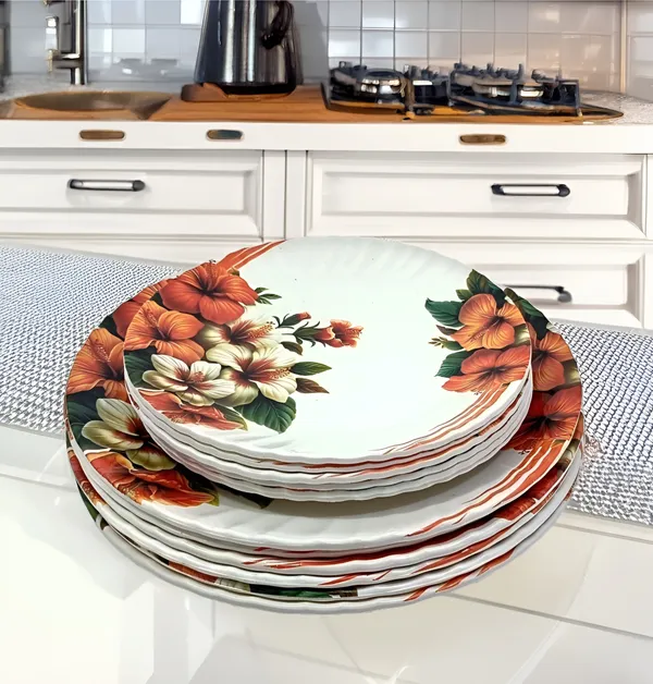 Multicolor_12-Piece_(6_Full_&_6_Half)_Melamine_Round_Dinner_Plate-_The_Perfect_Plates_Set_For_Your_Home
