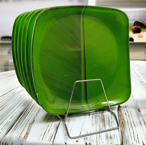 Green_Stylish_Melamine_Square_Full_Plate_Set_Of_6_For_Dining_-_Ideal_For_Snacks_And_Meals
