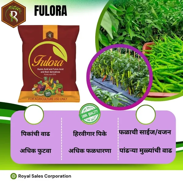 Fulora_|_2Kg_|_Bio_Fulvic_|_Plant_Growth_Promoter