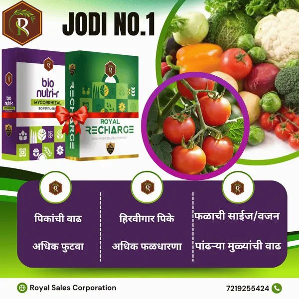 Royal_BioNutri-R__|_200Gm|__Mycorrhizal_Biofertilizer_|__100%_Water_Soluble
