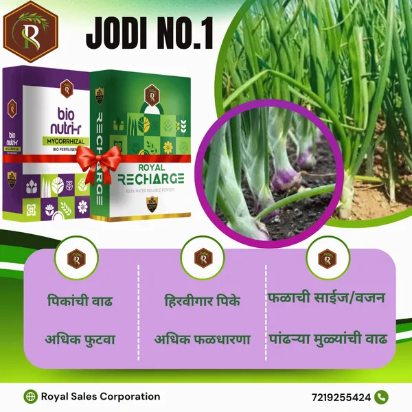 Royal_BioNutri-R__|_200Gm|__Mycorrhizal_Biofertilizer_|__100%_Water_Soluble