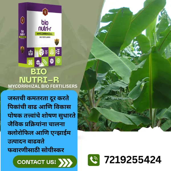 Royal_BioNutri-R__|_200Gm|__Mycorrhizal_Biofertilizer_|__100%_Water_Soluble