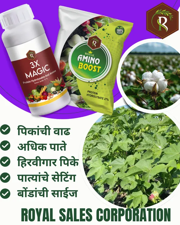 Royal_3X_Magic_|_500ML_|_Effective_Flowering_Stimulant_and_Enhancer