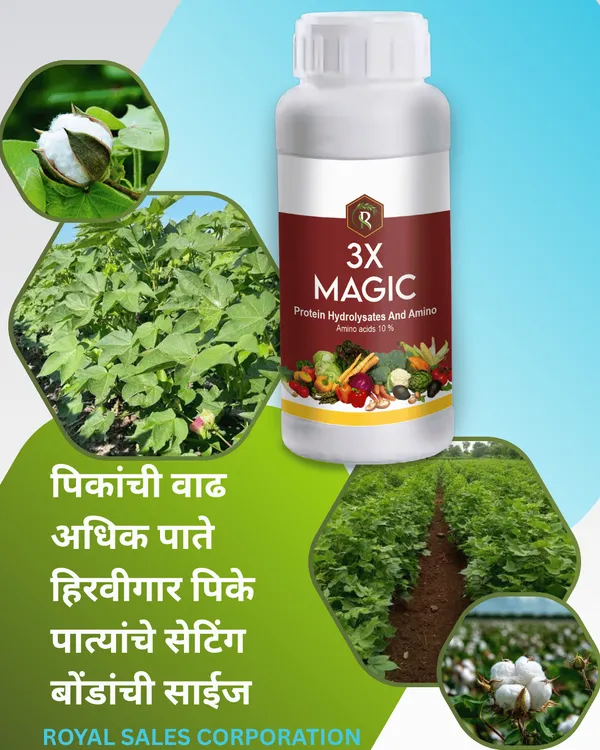 Royal_3X_Magic_|_500ML_|_Effective_Flowering_Stimulant_and_Enhancer
