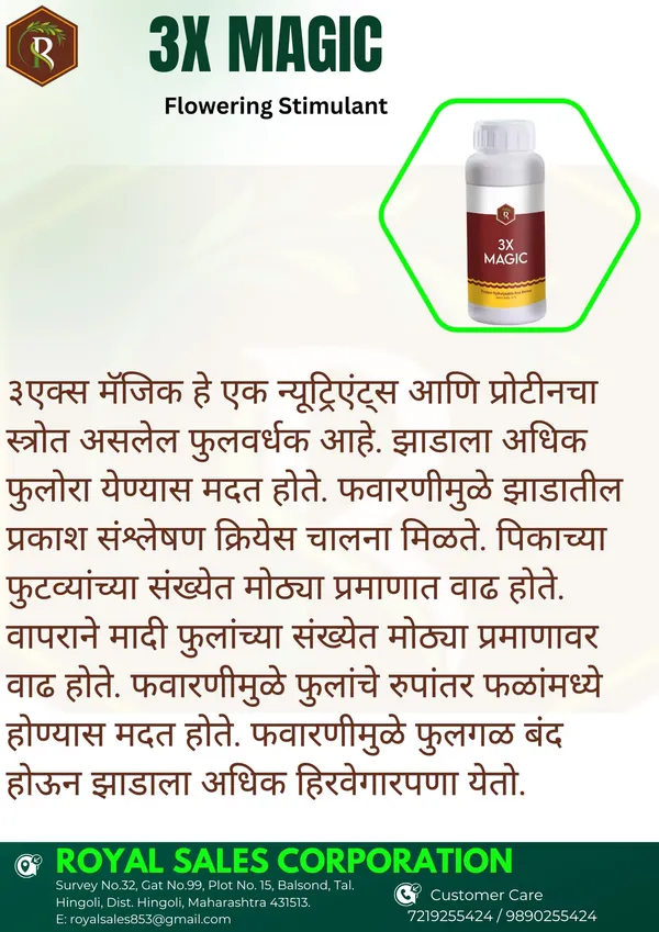Royal_3X_Magic_|_500ML_|_Effective_Flowering_Stimulant_and_Enhancer