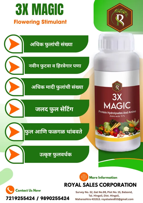 Royal_3X_Magic_|_500ML_|_Effective_Flowering_Stimulant_and_Enhancer