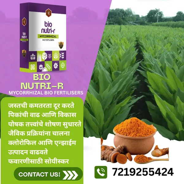Royal_BioNutri-R_|_100Gm_|__Mycorrhizal_Biofertilizer_|__100%_Water_Soluble