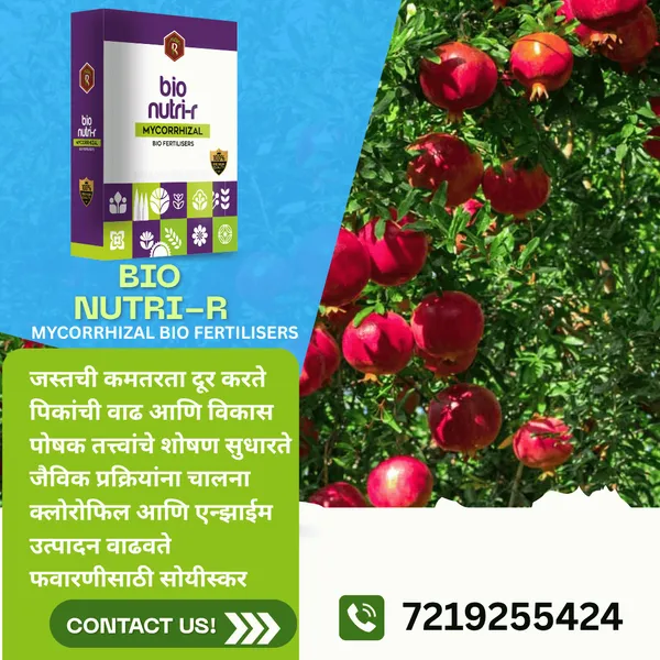 Royal_BioNutri-R_|_100Gm_|__Mycorrhizal_Biofertilizer_|__100%_Water_Soluble