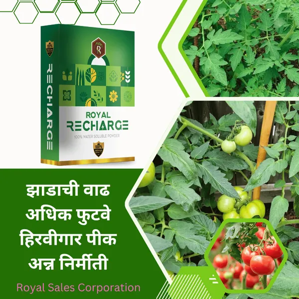 Royal_Recharrge__|_100Gm_|_Biostimulant_Plant_Growth_Regulator_|_Enhance_Yield_&_Stress_Resistance