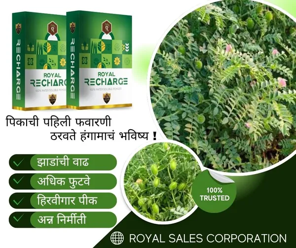 Royal_Recharrge__|_100Gm_|_Biostimulant_Plant_Growth_Regulator_|_Enhance_Yield_&_Stress_Resistance