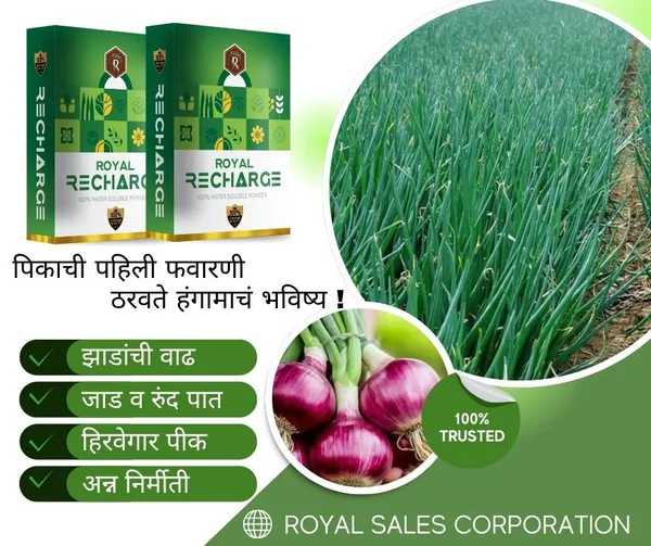 Royal_Recharrge__|_100Gm_|_Biostimulant_Plant_Growth_Regulator_|_Enhance_Yield_&_Stress_Resistance