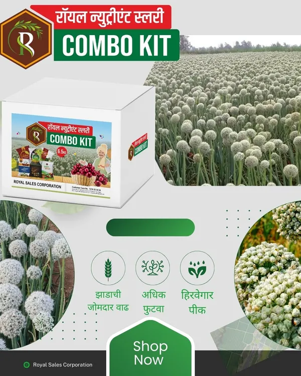 Royal_Nutrient_Slurry_COMBO_KIT_|_3.25KG_|_(Black_Gold-50GM/Ocean_Power-50GM/Amino_Boost-50GM/Fulora-50GM/Carbo_Plus-50GM/Green_Silicon-50GM)