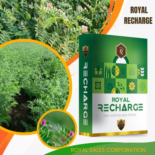 Royal_Recharrge__|_500Gm_|_Biostimulant_Plant_Growth_Regulator_|_Enhance_Yield_&_Stress_Resistance