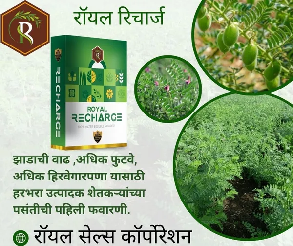 Biostimulant_Plant_Growth_Regulator_|_200Gm_|_Enhance_Yield_&_Stress_Resistance