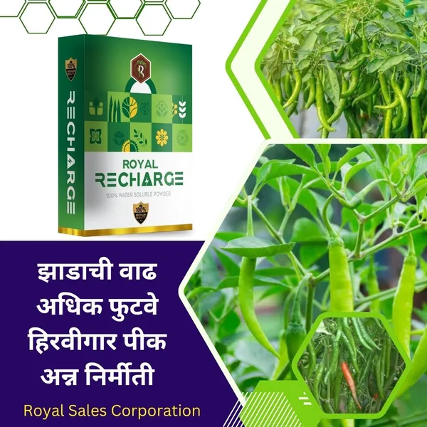 Biostimulant_Plant_Growth_Regulator_|_200Gm_|_Enhance_Yield_&_Stress_Resistance