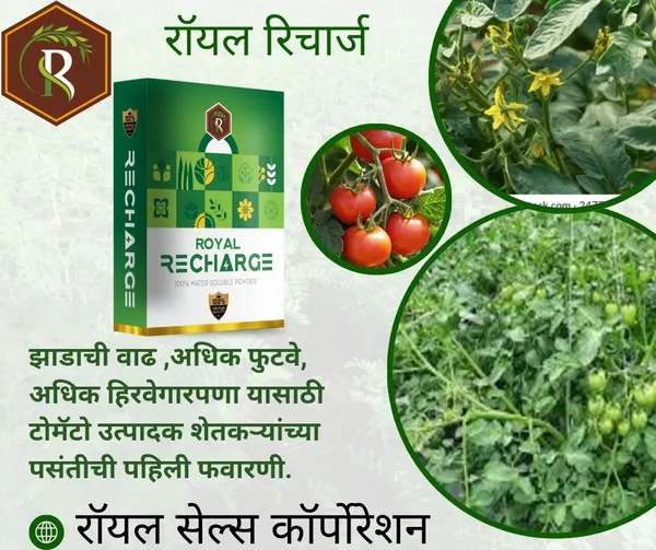 Biostimulant_Plant_Growth_Regulator_|_200Gm_|_Enhance_Yield_&_Stress_Resistance
