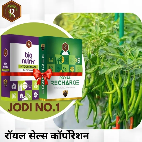 Jodi_No.1_|__Mycorrhizal_Biofertilizer_And_Biostimulant_Plant_Growth_Regulator
