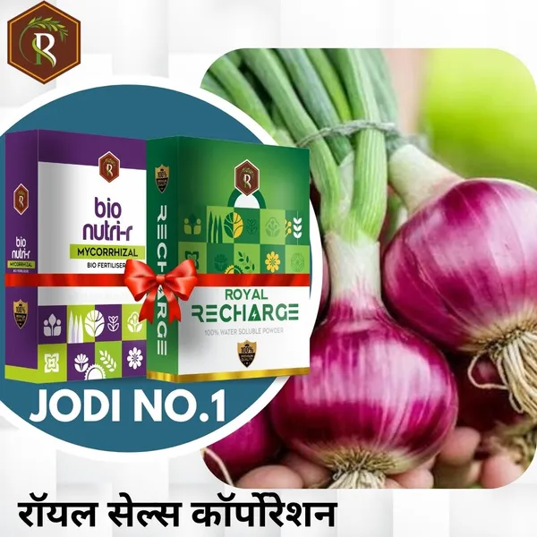 Jodi_No.1_|__Mycorrhizal_Biofertilizer_And_Biostimulant_Plant_Growth_Regulator