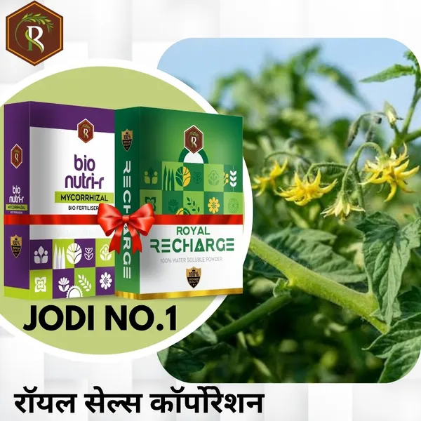 Jodi_No.1_|__Mycorrhizal_Biofertilizer_And_Biostimulant_Plant_Growth_Regulator