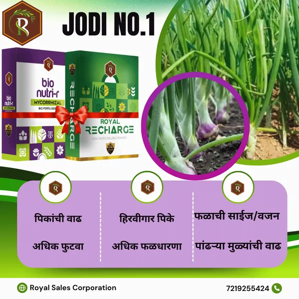 Jodi_No.1_|__Mycorrhizal_Biofertilizer_And_Biostimulant_Plant_Growth_Regulator