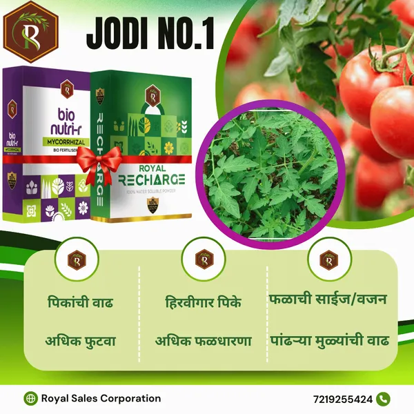 Jodi_No.1_|__Mycorrhizal_Biofertilizer_And_Biostimulant_Plant_Growth_Regulator