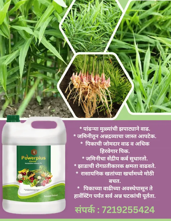 Royal_PowerPlus_|_5Lit_|_Drip_Special_Plant_Growth_Promoter_|_5Lit_per_acre