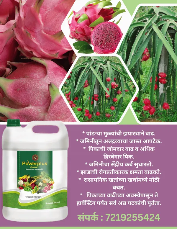 Royal_PowerPlus_|_5Lit_|_Drip_Special_Plant_Growth_Promoter_|_5Lit_per_acre